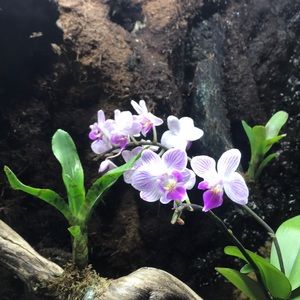 Meet your Posher, Elena